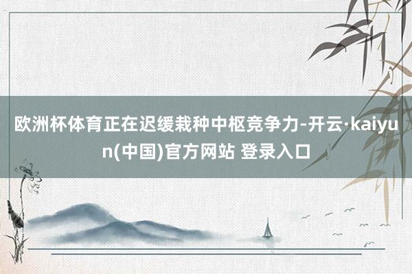 欧洲杯体育正在迟缓栽种中枢竞争力-开云·kaiyun(中国)官方网站 登录入口